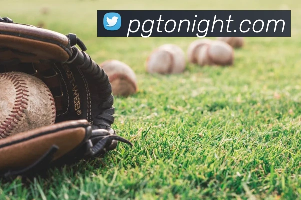 pg电子平台生态图